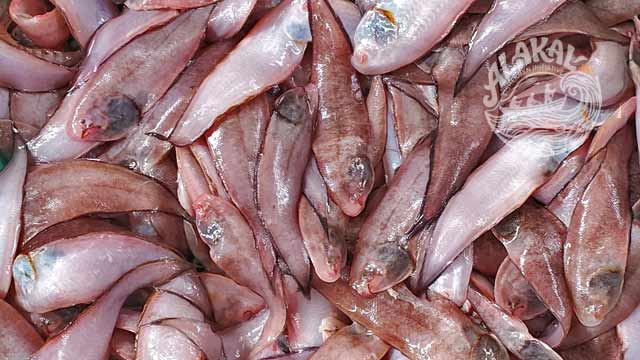 nanku fish fresh chemical free non preservative cleaned ready to cook buy online home deliveryin Cherthala Area mainly Arthunkal, Thyckal, Kadakkarappally, Vettakkal, Ottamassery, Pattanakkad, Ponnamveli, Thuravoor, Valamangalam, Thyckattussery, Pallippuram, Thavanakadavu, Thirunalloor, Varanad, Kokkothamangalam, Thaneermukkom, Kanankara, Puthanangadi, Kayipuram, Kanjikuzhi, SL puram, Vakaradi, Poklassery, Pooppallikavu, Mararikulam. Chethy, 11thmile, Muttathiparambu, Kanichukulangara, Pollethai, St Martin Church area, Kalikulam, Thankey