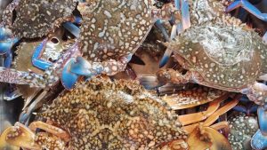 njand crab fish fresh chemical free non preservative cleaned ready to cook buy online home delivery in Cherthala Area mainly Arthunkal, Thyckal, Kadakkarappally, Vettakkal, Ottamassery, Pattanakkad, Ponnamveli, Thuravoor, Valamangalam, Thyckattussery, Pallippuram, Thavanakadavu, Thirunalloor, Varanad, Kokkothamangalam, Thaneermukkom, Kanankara, Puthanangadi, Kayipuram, Kanjikuzhi, SL puram, Vakaradi, Poklassery, Pooppallikavu, Mararikulam. Chethy, 11thmile, Muttathiparambu, Kanichukulangara, Pollethai, St Martin Church area, Kalikulam, Thankey