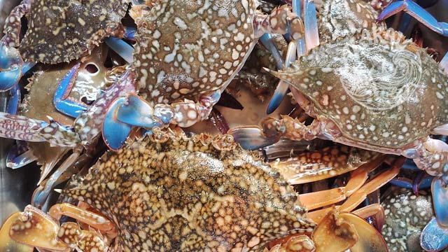 njand crab fish fresh chemical free non preservative cleaned ready to cook buy online home delivery in Cherthala Area mainly Arthunkal, Thyckal, Kadakkarappally, Vettakkal, Ottamassery, Pattanakkad, Ponnamveli, Thuravoor, Valamangalam, Thyckattussery, Pallippuram, Thavanakadavu, Thirunalloor, Varanad, Kokkothamangalam, Thaneermukkom, Kanankara, Puthanangadi, Kayipuram, Kanjikuzhi, SL puram, Vakaradi, Poklassery, Pooppallikavu, Mararikulam. Chethy, 11thmile, Muttathiparambu, Kanichukulangara, Pollethai, St Martin Church area, Kalikulam, Thankey